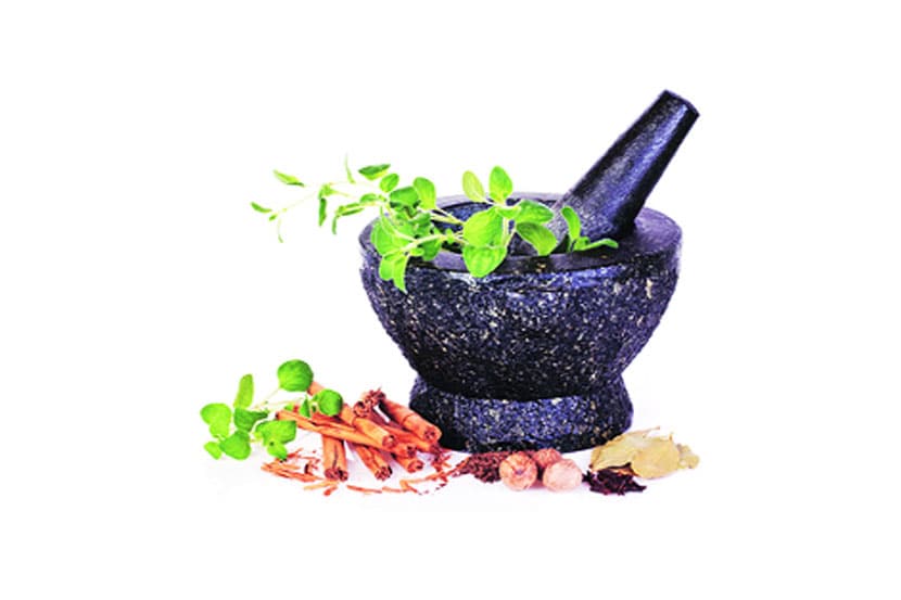 ayurvedic medicines, information , ayurvedic treatment, ajicha batwa, Chaturang, Chaturang news, Loksatta, Loksatta news