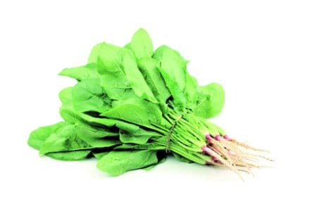 spinach, health benefits, be healthy, Food, Chaturang, Chaturang, Loksatta, Loksatta news
