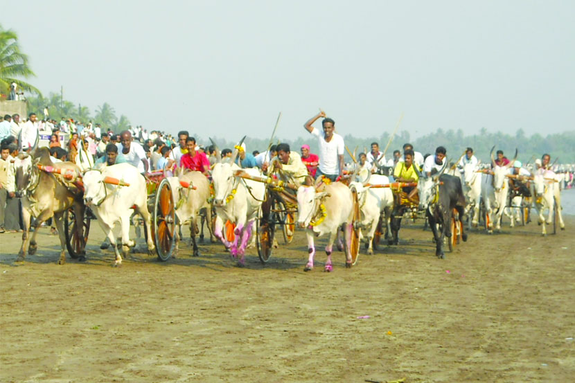 केंद्र सरकारच्या २००७च्या निर्णयानुसार जंगली प्राण्यांच्या प्रदर्शन व प्रशिक्षणावर बंदी आहे. 