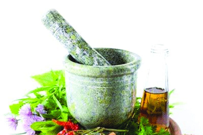 कोकणात ‘एम्स आयुर्वेद’! वैद्यकीय शिक्षण व संशोधन मंत्रालयाचा निर्णय