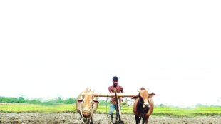 Farmers in Maharashtra , Farmers in Maharashtra will get 10000 rupees , शेतकरी कर्जमाफी , loan waiver, fadnavis government , Loksatta , Loksatta news, Marathi, Marathi news