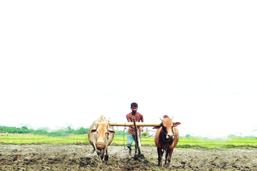 Farmers in Maharashtra , Farmers in Maharashtra will get 10000 rupees , शेतकरी कर्जमाफी , loan waiver, fadnavis government , Loksatta , Loksatta news, Marathi, Marathi news