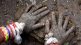 Cow Dung Cakes on Amazon, Buy Cow Dung Cakes on Ebay,cow dung cakes, Amazon , eBay, cow dung Online, Online shopping, Loksatta, Loksatta news, Marathi, Marathi news
