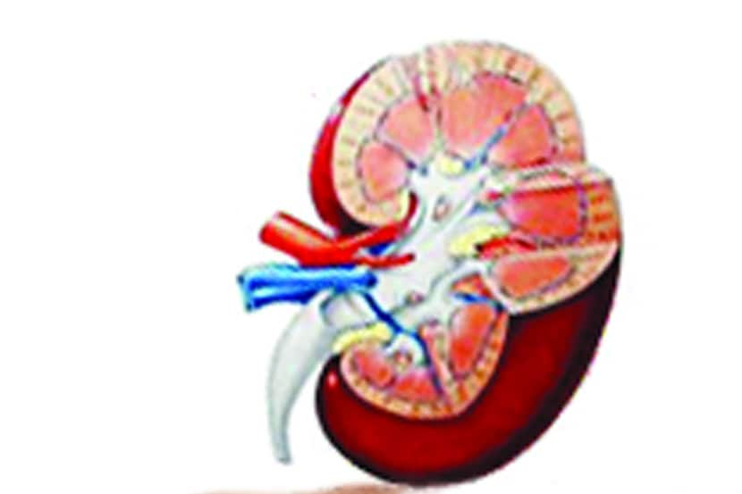 अवयव तस्करीचा गुन्हा दाखल