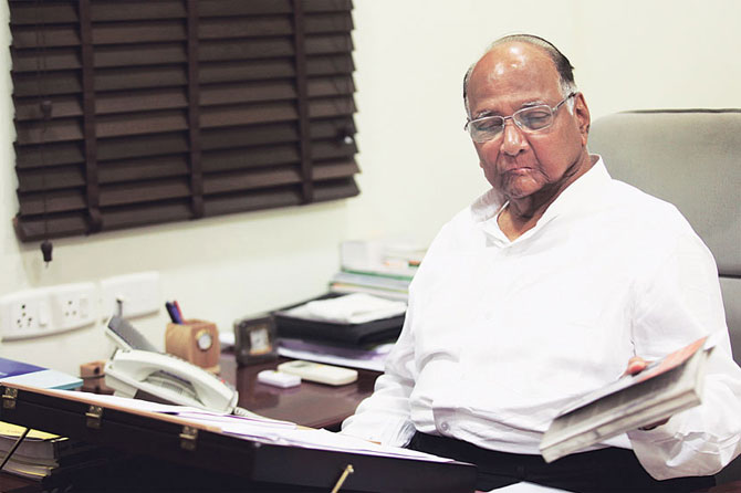 sharad pawar, शरद पवार