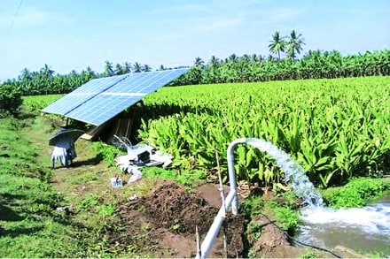 ब्राइट सोलार कंपनीला गुजरात सरकारने सौरपंप पुरविण्याचे कंत्राट बहाल केल्याची माहितीही बावनकुळे यांनी दिली. 