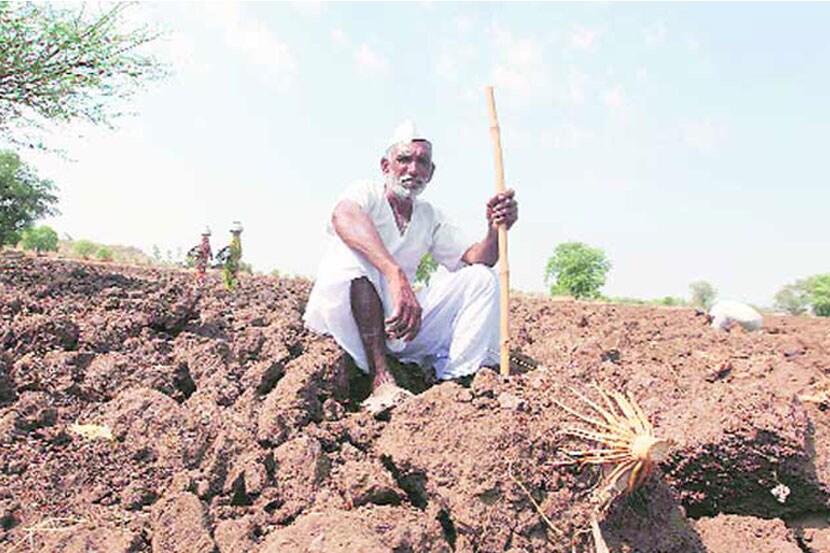 ‘जागतिकीकरणाच्या रेटय़ात शेतक-याने ओळख गमावली’