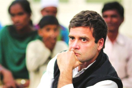 rahul gandhi, राहुल गांधी, रोहित वेमुला प्रकरण