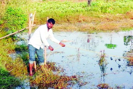 शेतकरी संजय मुकरू गंडाटे 