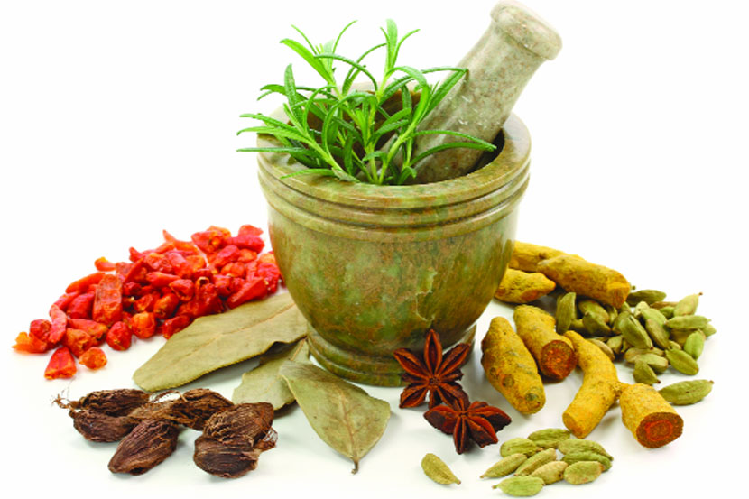 पारंपरिक भारतीय औषधांचा वापर काळाची गरज – नरेंद्र मोदी