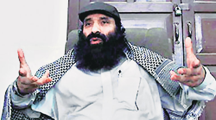 Hizb ul Mujahideen chief , Pathankot attack , Syed Salahuddin, Indo Pak dialogue , Loksatta, Loksatta news, Marathi, Marathi news