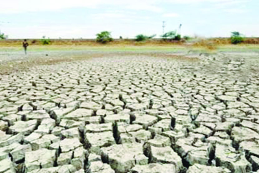 उष्णतेच्या लाटेने ५ हजार ‘मामा’ तलाव आटले