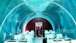 10 underwater themed restaurants in the world , underwater restaurant in Ahmedabad, see pics, Tourism, amazing hotels, Loksatta, Loksatta news, Marathi, Marathi news