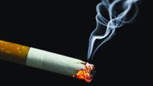 loksatta, marathi news paper, news paper, news online, marathi news, marathi news online, newspaper, news, latest news in marathi, current news in marathi,sport news in marathi, bollywood news in marathi world health organisation cigarrete smoking who report cancer