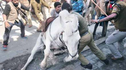 shaktiman, horse beaten up