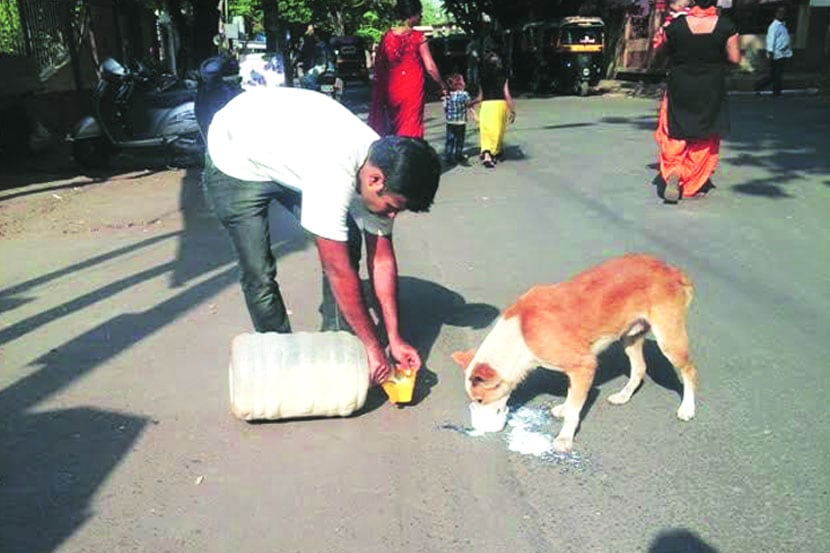 महाशिवरात्री दिवशी तरुणांची अनोखी श्रद्धा