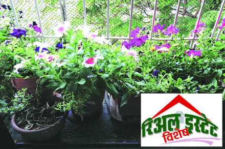 घरातील बाग