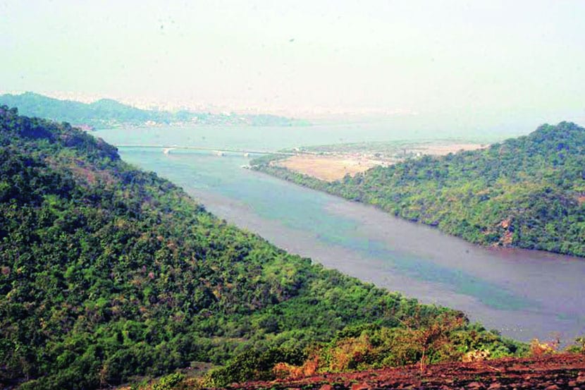 ठाणे खाडीतील मत्स्यप्रजाती नामशेष