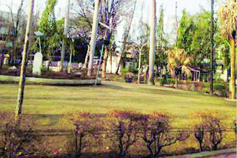 उद्यानातील १०८ झाडे करपली; लातूर शहरातील उद्यानाची दुरवस्था