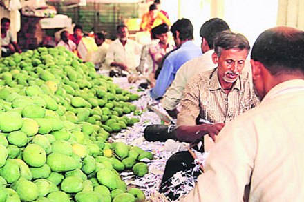 विनियंत्रणाचे वास्तव