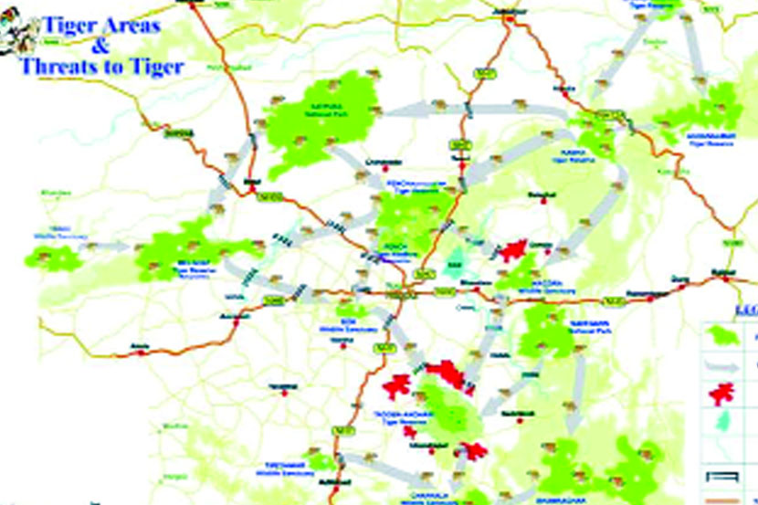 वाघांचे लांब पल्ल्यांचे स्थलांतर जुनेच