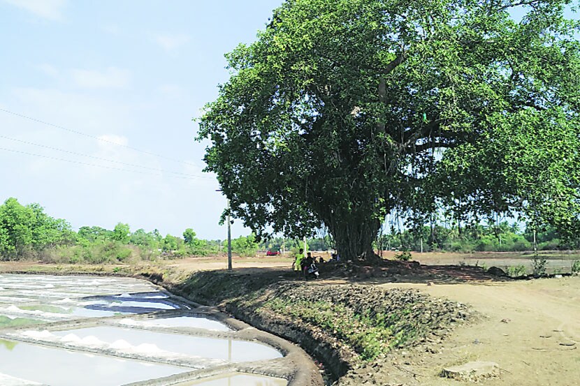 शिरोडा मिठाच्या सत्याग्रहस्थळी स्मारकाची मागणी