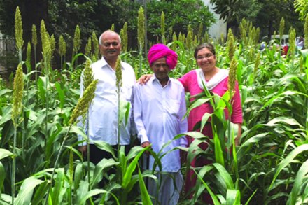 जे.जे. रुग्णालयात ज्वारीची शेती..