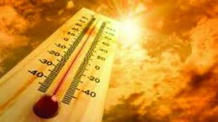 Heat Wave , Temperature, Maharashtra , Vidarbha, Akola, Loksatta, Loksatta news, Marathi, Marathi news