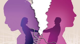 Husband can't make compulsion on wife , Nagpur, Family court , leave job , Women rights, Loksatta, Loksatta news, Marathi, Marathi news
