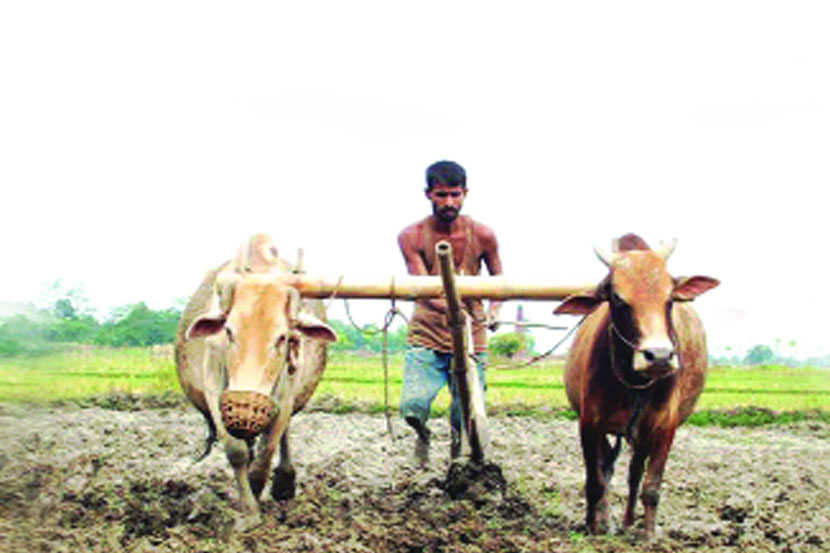 राज्यात १० टक्केच पाणीसाठा