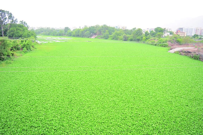 उल्हास नदीतील वाढते प्रदुषण आणि अतिक्रमणाविरूद्ध पर्यावरणप्रेमी संस्था सातत्याने आवाज उठवीत आहेत. 