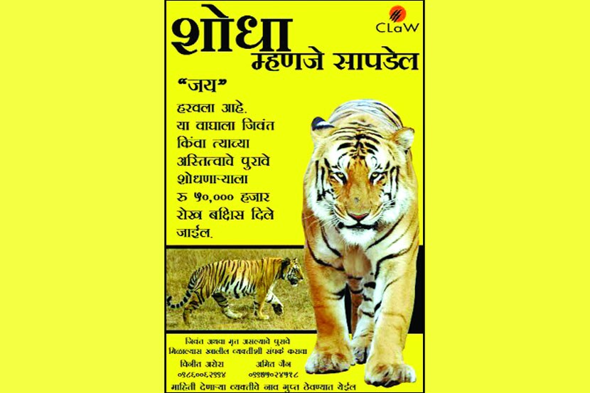 मुख्यमंत्री व वनमंत्रीही म्हणतात,‘जय’ सापडेल पण तो जिवंत आहे का?