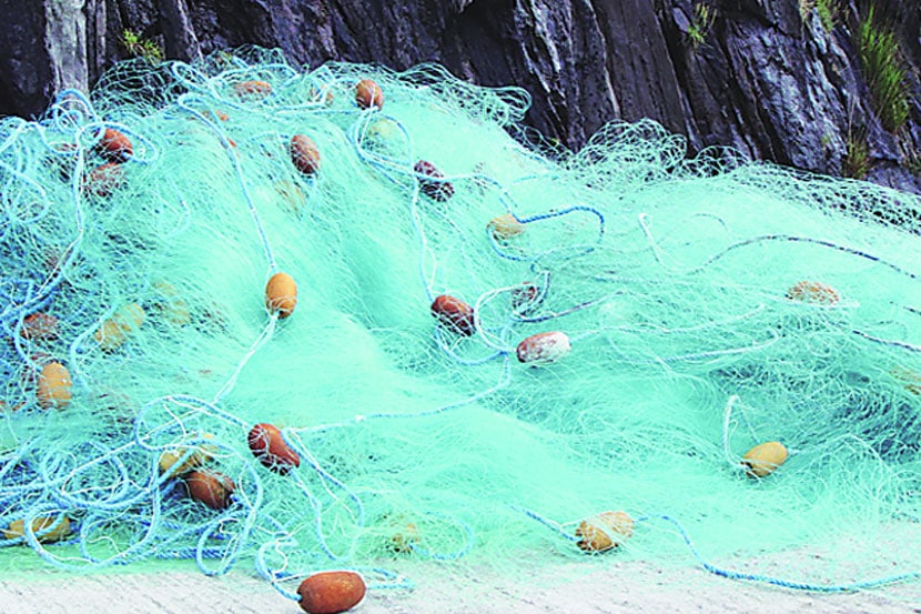 ‘पर्ससिन’ मासेमारीसाठी दहा अटींचे जाळे