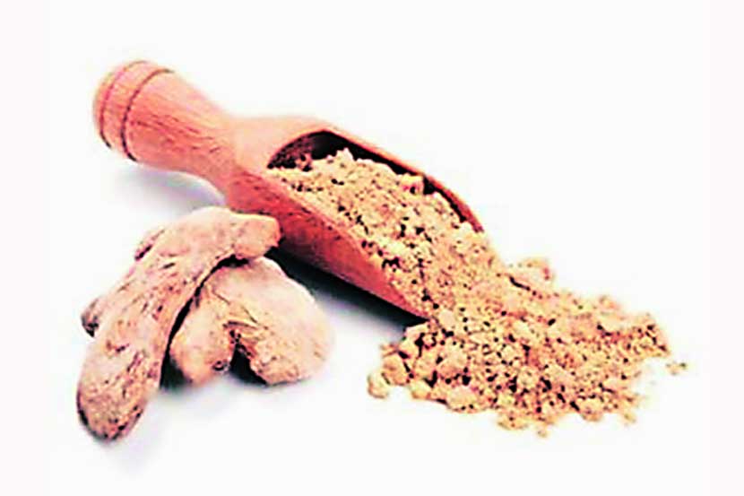 आयुर्मात्रा : सुंठ – २