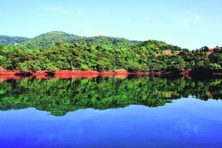 Koyna dam , water level increase , heavy rain, Monsoon, Loksatta, Loksatta news, Marathi, Marathi news