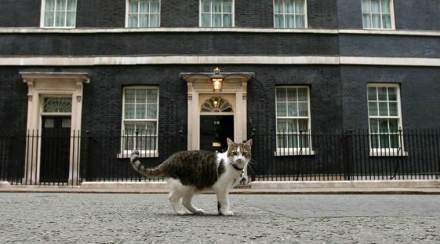 ‘ते’ मांजर कॅमेरुन यांचे नव्हे, तर ब्रिटन सरकारचे!