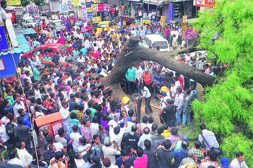 नाशिकमध्ये झाड कोसळून दोन जखमी, सात गाडय़ांचे नुकसान