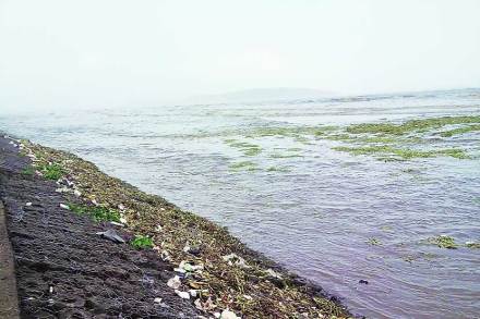 ‘रत्नाकरा’ची परतफेड!