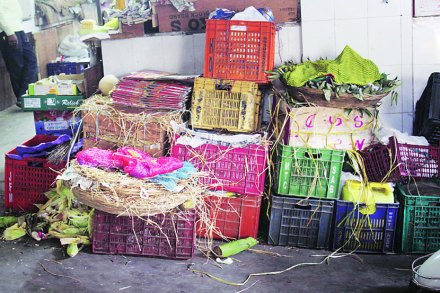 गावदेवी भाजी मंडई