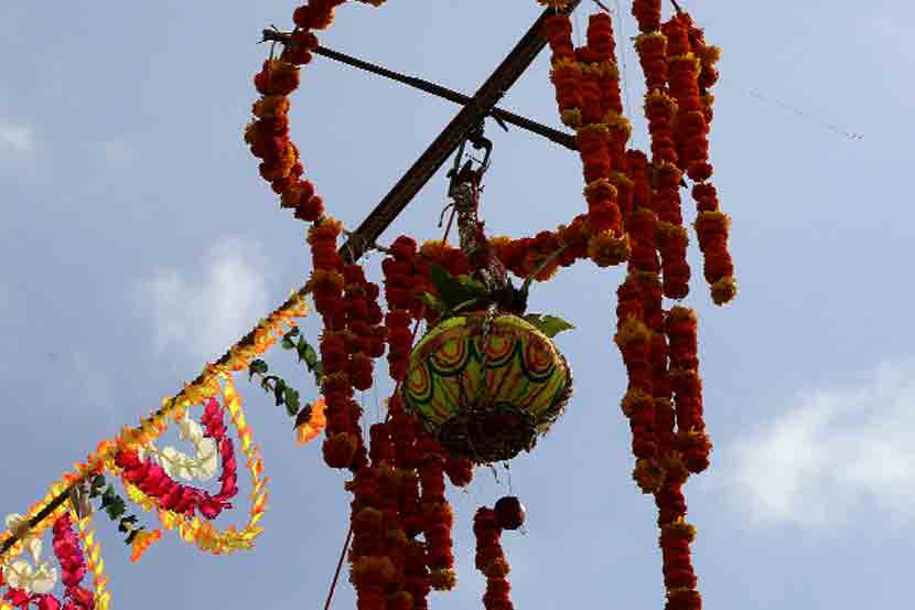 dahihandi, Palghar