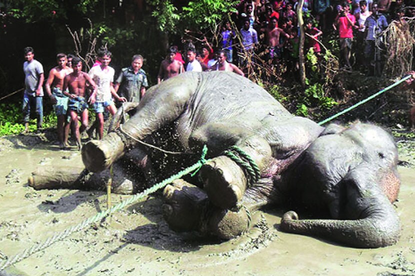 ‘नो मॅन्स लॅण्ड’च्या अ-मानुष गोष्टी..