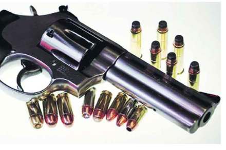 pistol, पिस्तुल , Police, Crime, pistol , bullets , Dhule, Maharashtra, Loksatta, Loksatta news, Marathi, Marathi news