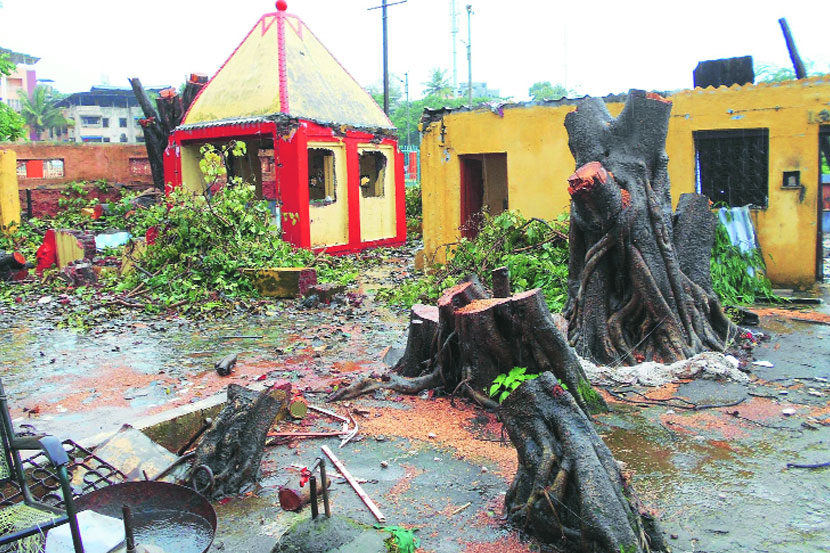 मंदिराच्या जीर्णोद्धारासाठी तोडण्यात आलेले वृक्ष
