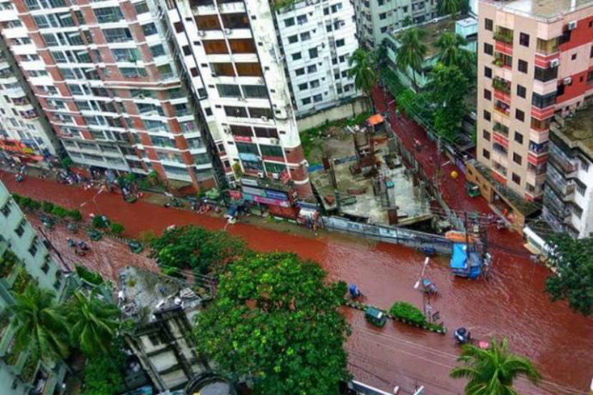 ढाका शहरात बकरी ईदच्या दिवशी पाण्याचा निचरा न झाल्याने रक्ताचे पाट वाहू लागले 
( छाया सौजन्य : ट्विटर )