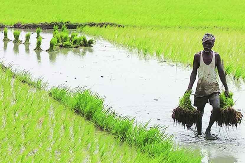 एमपीएससी मंत्र : पैलू कृषी क्षेत्राचे