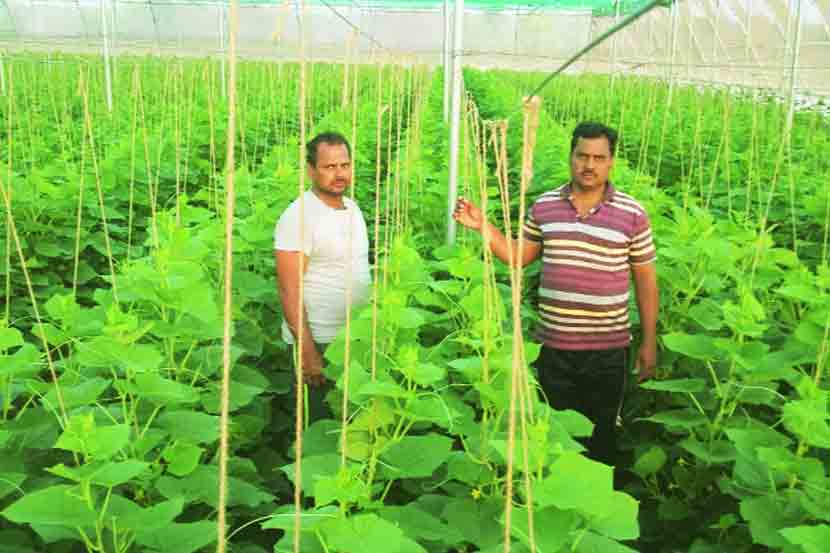 ‘बेड’ पद्धतीतून नफ्याचे गणित