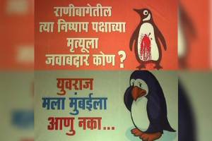 NCP , राणीची बाग, ranichi baug, BMC, Shivsena, penguin , MNS , Loksatta, loksatta news, Marathi news