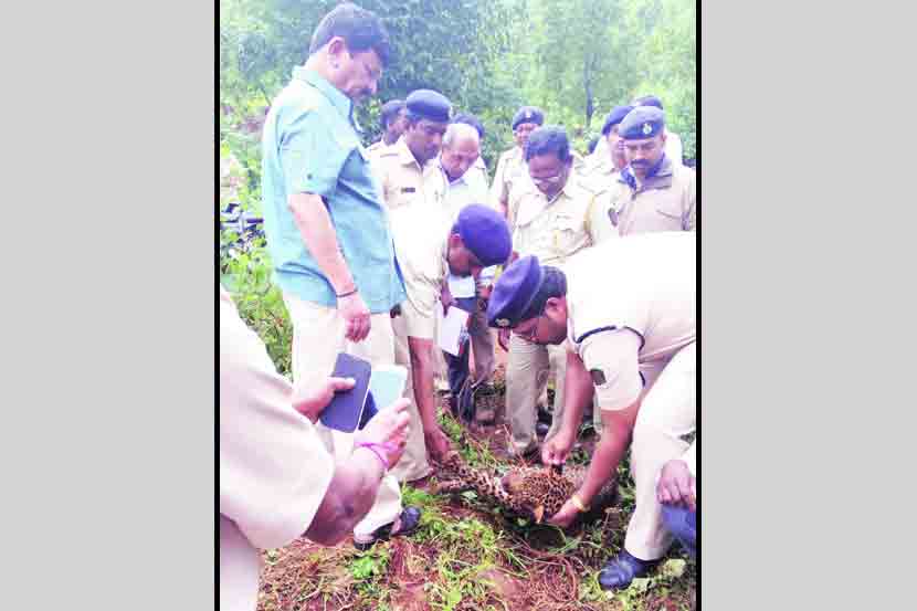 घटनास्थळाची पाहणी करताना वनकर्मचारी.