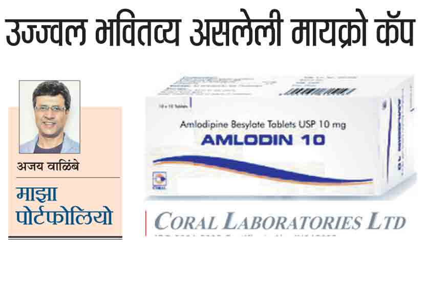 माझा पोर्टफोलियो : उज्ज्वल भवितव्य असलेली मायक्रो कॅप