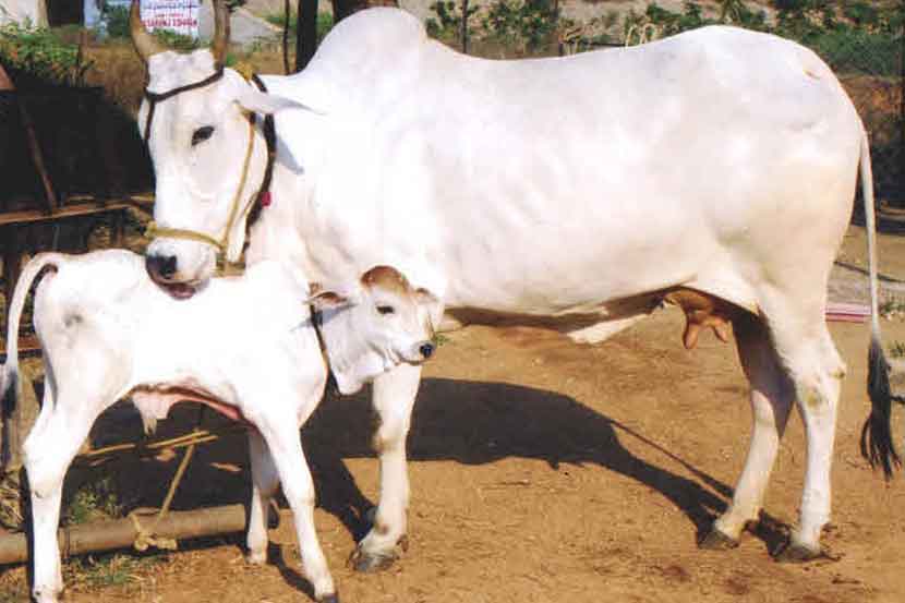 latest-marathi-news-breaking-news-today-read-marathi-batmya-from